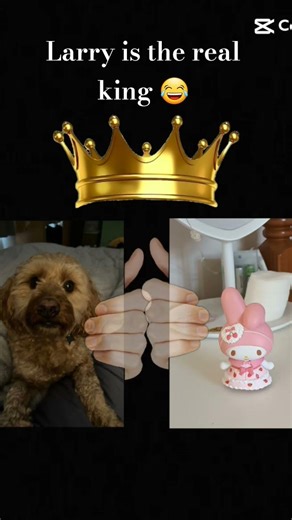 Larry is the real king! 😂 #slay #cute #labubuking