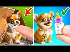 Rescue this Cute Puppy! 🆘 Cool Pet Gadgets & Funny Hacks For Your Furry Friends by 123GO!