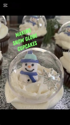 Snow Globe Cupcakes ready to go!!!!