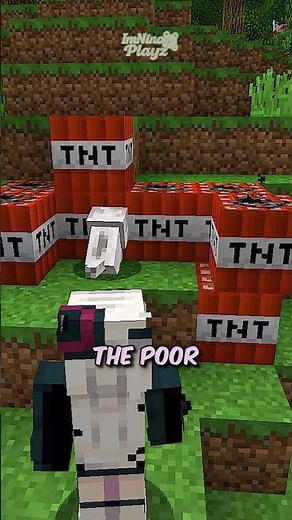 Do You Know About This Dog Trick? 🐕⚡ #shorts