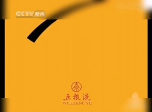 央视新闻频道ID2006带赞助商