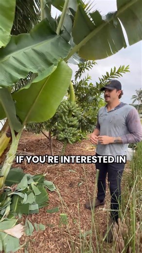 2.4K views · 357 reactions | Be careful with your banan pups when...