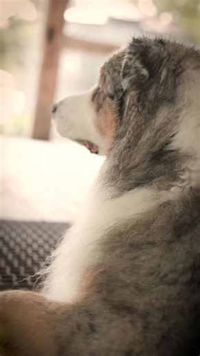 113 reactions · 11 shares | “In falling and in rising: we are kept ever preciously in one love.” - St. Julian of Norwich 曆 #magnoliapearl #magnoliapearlclothing #love #art | Magnolia Pearl Clothing | Facebook