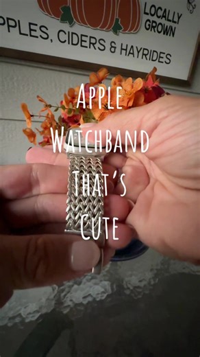 Replying to @user1467827577829 Finally swapped my sporty Apple Watch band for the WizeBand and it’s giving cozy clean girl fall 🍂 Stainless, feminine, and adjustable — the perfect under-$30 accessory that makes every outfit look put together. @WizeBand #fallvibes