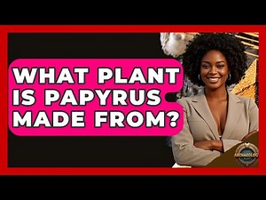 What Plant Is Papyrus Made From? - Archaeology Quest