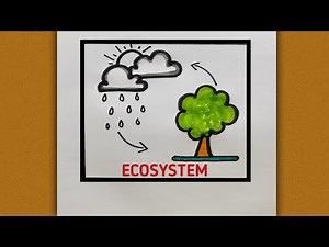 Ecosystem drawing | Art of Kala