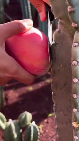 Quick Tools for Efficiency