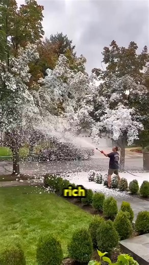The Method by Which Rich People Create a Snowy Environment 😱 #snow #trending #fact #Amazing #fypシ #fybシ | Daily Videos