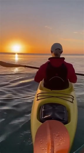 Dolphin Splashes a Sunset Kayaker 🐬🚣‍♂️ — Joy in Golden Water #shorts