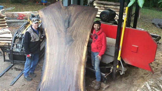 Sawing giant walnut into stunning slabs