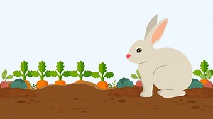 Five Little Carrots: A Spring and Summer Counting Song for Kids! — Music for Kiddos