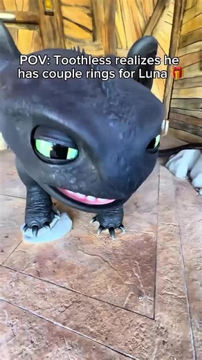 Toothless and Luna: A How to Train Your Dragon Love Story
