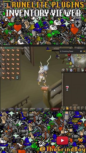 RuneLite Plugins #8 - Inventory Viewer #osrs