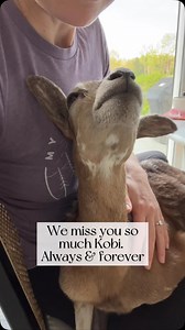 1.2K views · 9.8K reactions | One year ago today we had to make the...