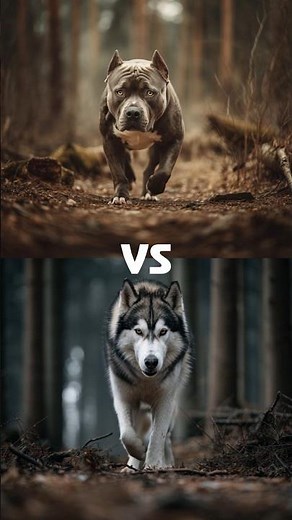 Pitbull vs 10 Dog Breeds — Strength, Speed & Endurance Comparison! #shorts #top