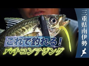 [Bachicon] A complete guide to bait, lures and tackle! Bachicon Ajing Encyclopedia / Shigenori Na...