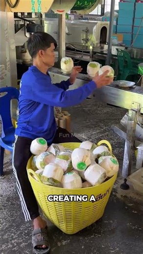 Insane Coconut Cutting Skills! Young Coconut Export Process You Must See