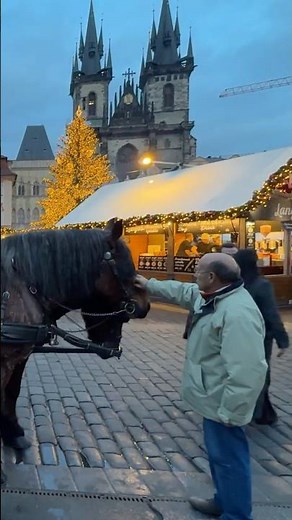 PRAGUE CHRISTMAS MARKET 🎄 | Old Town Square Magic ✨