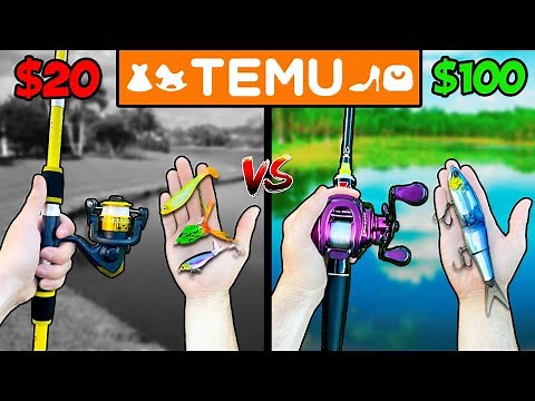 $20 vs $100 Temu Budget Fishing Challenge