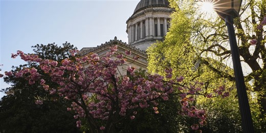 Opinion | A Tech Tax Revolt Against Democrats