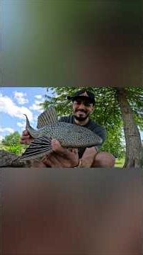 Caught This Alien Fish 👽… DO NOT Throw It Back!🛑🎣