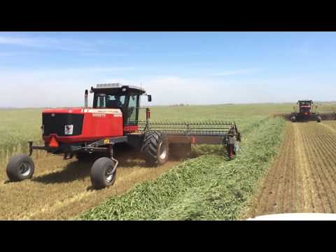 Field Launch: 5300 DynaSwath Draper Head