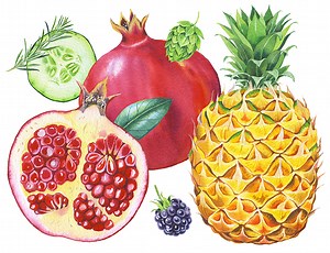 Mary Woodin, illustrator | The Artworks Illustration Agency