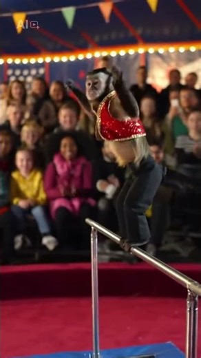 monkey doing circus 🥳🥳🥰 enjoy people