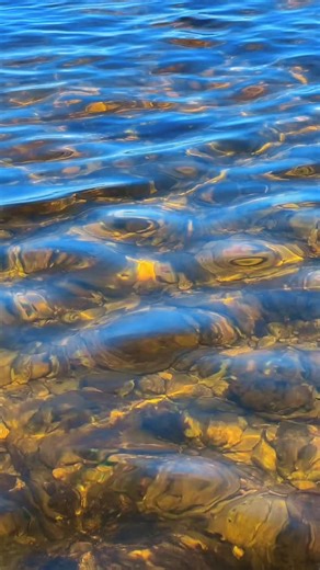 2.3K views · 1.5K reactions | Six million pounds of fossilized shell...