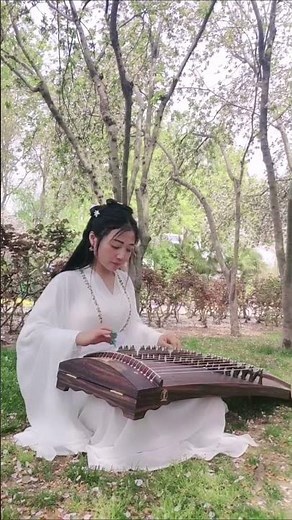 《葬花吟》古筝《红楼梦》