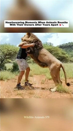Animals Reunited With Their Owners After Years Apart.