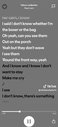 Pearl Jam Yellow Ledbetter #fyp #musicislife #fullsongs #fullvideo #pearljam #lyricsvideo #90sthrowback #90s #pearljam #yellowledbetter