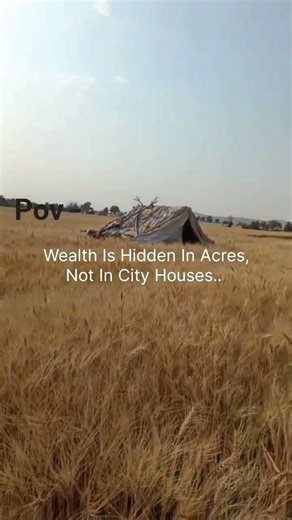Pov - the definition of wealth..