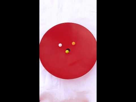 Marble Run ASMR Race ☆ HABA Slope & Dump Truck Excavator Ambulance Forklift Garbage Truck Tractors