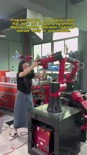 borunte.robotwendy on TikTok