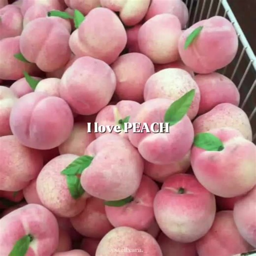 Discover the Joy of Peach Delights