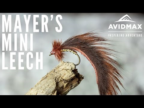 How to tie Mayer's Mini Leech | AvidMax Fly Tying Tuesday Tutorials