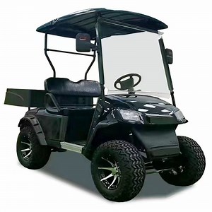 [Hot Item] Carts Electric Wheel for Windshield Axle 4X4 4 Electronic Remote Battery 12V Single Seater Small Foldable Motor Mini Golf Cart