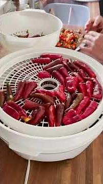 Making My Own Homegrown Paprika Powder!