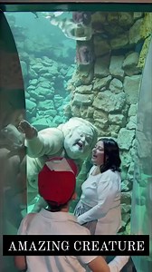 351 reactions · 322 shares | #AI #pleasefollowme #behappy #enjoylife | Ruby Ruby | Facebook