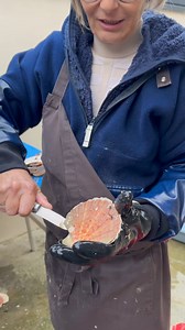 820K views · 4.7K reactions | ⚠️ En début de saison, il n’y a pas de...