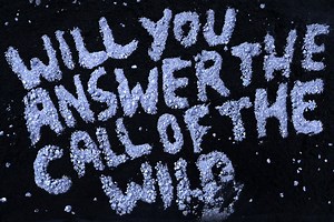 The best stories are inspired by real adventures. Harrison Ford tells the journey that led to the legendary novel Call of the Wild. #AnswertheCall and see it in theaters this Friday. Get tickets now: http://bit.ly/COTWTickets | Disney