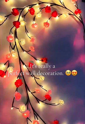 There are 8 lighting modes. When the light is turned on, it is really romantic and warm. 🥹#tiktokmademebuyit #fpy #lamp #giftedlnlove #roes