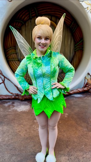 2.9K views · 400 reactions | And fairy Xmas! . . . . #disneyparks #disneymagic #disneylife #disneylove #encanto #mirabel #tinkerbell #peterpan #fairy #neverland #disneyprincess #tink #pixiedust #captainhook #ariel #cosplay #aliceinwonderland #tinkerbellcosplay #disneyfairy #disneyfairies #iridessa #silvermist #terence #beautyandthebeast #batb #wendy #wendydarling #campanita #dadjoke #dadjokes | Sergiosdadjokes | Facebook