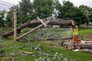 Know who is responsible for hauling away dangerous tree limbs