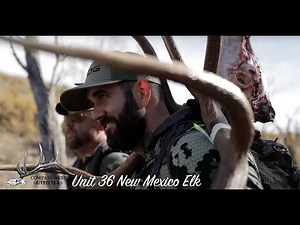New Mexico Unit 36 Elk Hunt