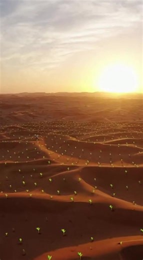 Saudi Arabia is harnessing advanced robotics and renewable energy to tackle one of its biggest environmental challenges: desertification. The country has designed solar-powered autonomous robots capable of planting trees in harsh desert conditions, supporting its large-scale reforestation and climate restoration goals. These machines operate in extreme heat and remote areas where human labor is difficult and costly. By combining solar energy, AI navigation, and precision planting systems, the ro