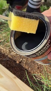 DIY Toothbrush Painting Brush | Crafty Panda How