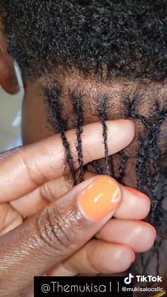 Extra Small Starter Locs with Interlocking