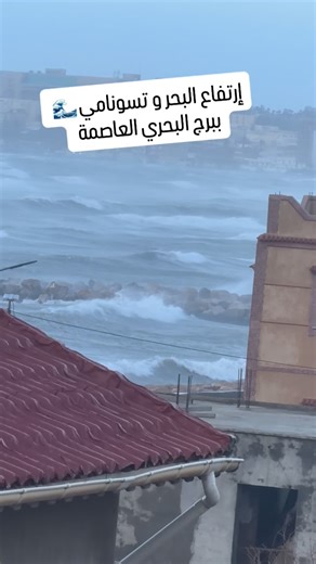 ‎✨ALGER PLAGE INFO | أخبار الجزائر الشاطئ🫀✨‎ on Instagram